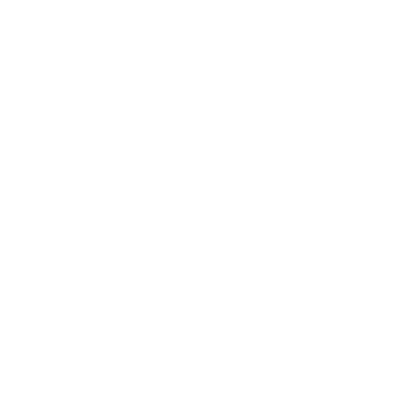 The Promise Band