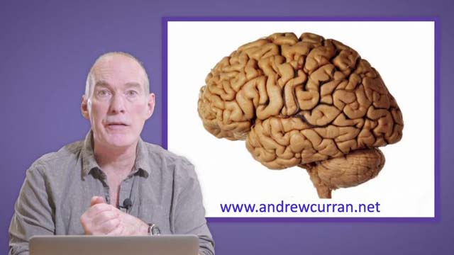 andrew curran adhd foundation presentation